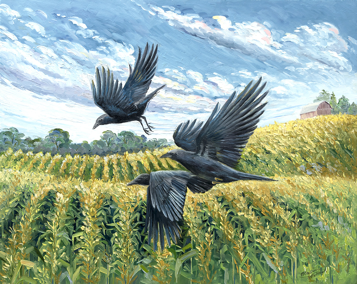 Green Corn oil on panel Artist Paula McHugh